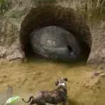 This farmer could not believe his eyes at what he found