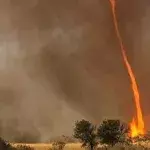 'Firenados' are a rare but very real phenomenon in Australia