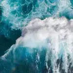 Fluorescent waves
