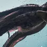 Giant Squid