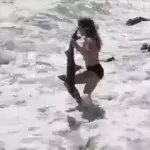 Girl grabs shark with her bare hands