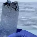 In Greenland, the spread of a 'dark zone' caused by algae worries scientists