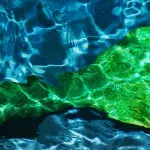 Half-man half-fish creature found