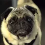 Halo Infinite's Sound Effects