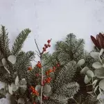 How to recycle your Christmas waste?