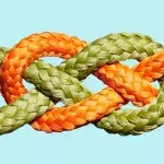Knot