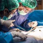 Man opens up about world's first double-arm-and-shoulder transplant
