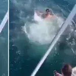 Man throws himself in water with shark