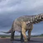 Meet Australotitan, the largest dinosaur ever unearthed in Australia