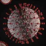 A new more infectious variant of Covid-19 emerges in England