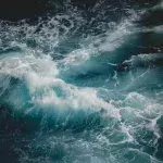 New research reveals the origins of Earth’s water