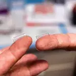 New study finds potential vaccine for COVID-19 is able to successfully fight off the virus