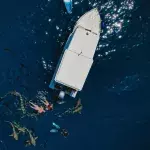 NY fishermen receive surprise of a lifetime after shark is trapped on their boat