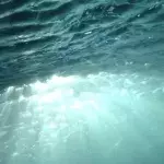 Ocean