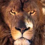One of the biggest predators in the world has been discovered 