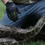 One man survived a snake after it went for his throat 