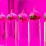 One of the world's oldest experiments germinates 142-year-old seeds