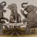Researchers gave an elephant LSD in the name of science, but it did not go as planned