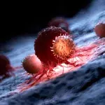 Scientists Have Discovered By Chance A Cell That Can Attack Most Cancers