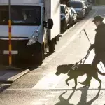 Scientists have partially restored a blind man's vision through gene therapy