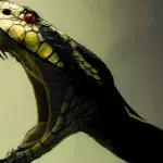 Snake showing fang