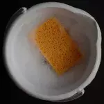 Sponge