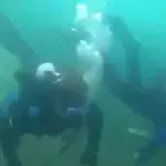 A strange creature was found in the depths of the ocean, off the coast of Mexico.
