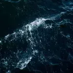 This is the terrifying discovery made in the deepest part of the ocean