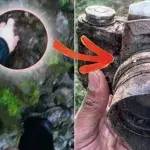 They made an incredible discovery while hiking in the woods