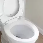 Toilet bowl
