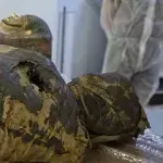 Unique pregnant mummy of a identified by X-ray