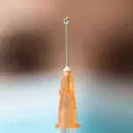 Universal Covid vaccine soon available?