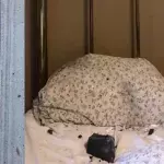 Woman awakes to meteor crashing into her bedroom