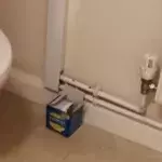 Woman terrified to find python sticking its head out of her toilet at 5am