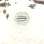 1°13'42.00"S 129°48'49.43"E