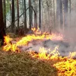 Arctic On Fire 