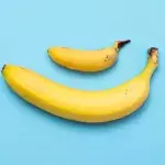 Are you a grower or a shower? This study explains the difference