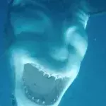 Calypso Star Charters Centre