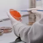 COVID variant under investigation