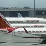 Delhi-London flight delayed after ants were found in business class
