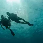 Divers