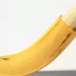 Do circumcised men have less sensitive penises?
