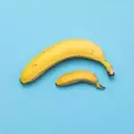 Doctor Reveals the Real Average Penis Size