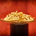 The EU has just authorised insect-based food for humans