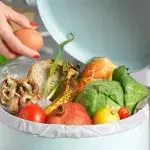 Food waste is not okay