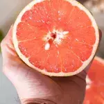 Grapefruit