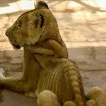 Heart-breaking Images Reveal Starving Lions In Horrifying Conditions In Zoo In Sudan