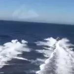 A high speed water chase