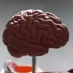 How to manipulate your brain to lose weight