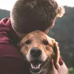 Humans shown to transmit deadly COVID virus to their pets